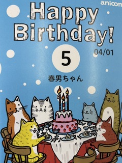 (=^・^=)春男5才になりました(=^・^=)