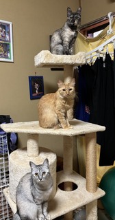 ~お役に立てたようで~