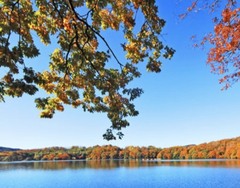 ~紅葉が待ち遠しい~