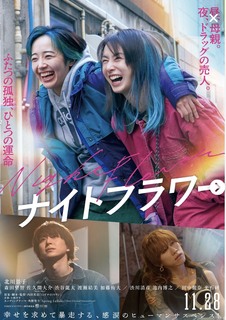 !(^^)!ナイトフラワー!(^^)!