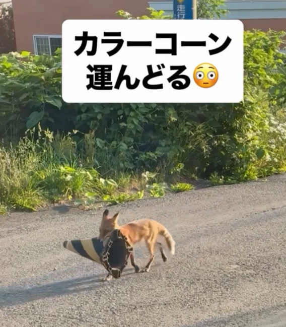 ---今年もあと僅か---