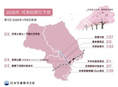 ✿いつ頃開花✿