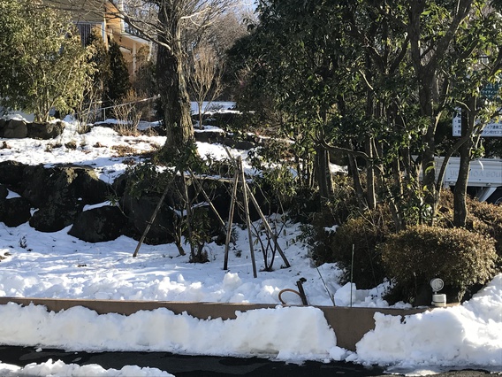 ⛄雪国⛄