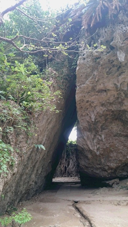 ♪沖縄旅行　奥武島～斎場御嶽