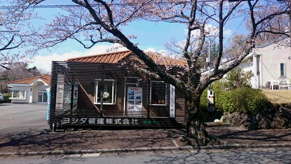 ❀伊豆高原桜まつり開幕～