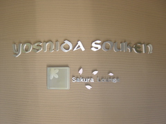 桜咲く　Sakura　Lounge