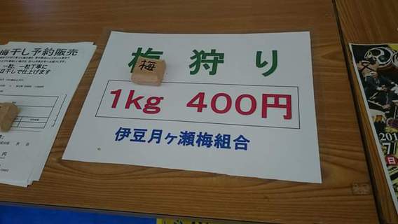 『伊豆月ヶ瀬梅林』