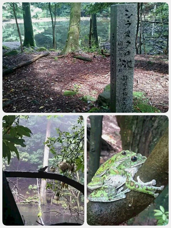 ～不知沼(シラヌタ)の池～