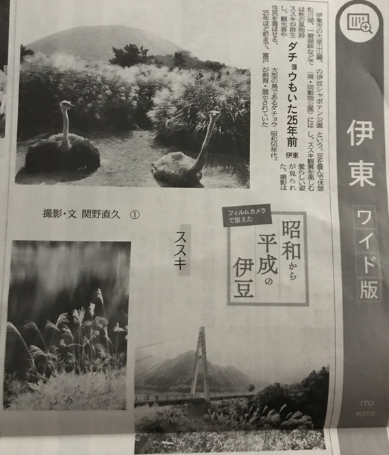 ～秋がやって来ました～