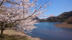 『松川湖ウォーキング』