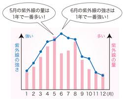～紫外線対策～