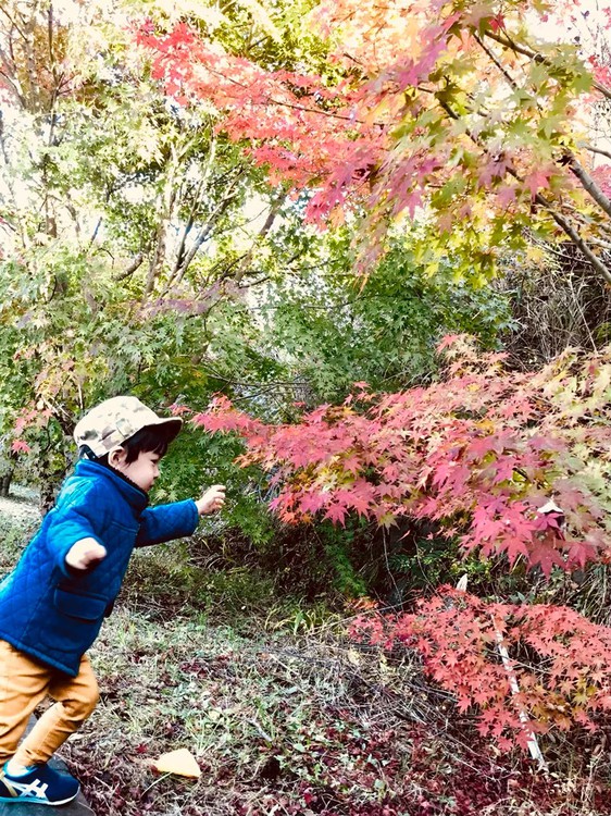 ～紅葉～