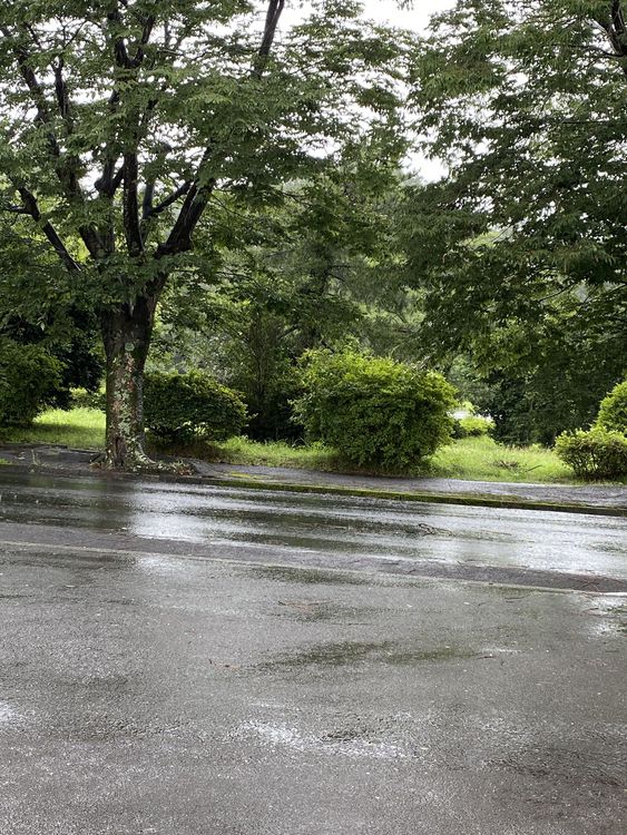 ☂梅雨☂