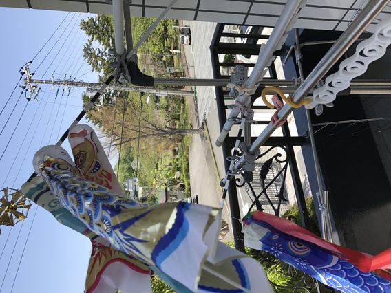 ~~   こいのぼり　　~~